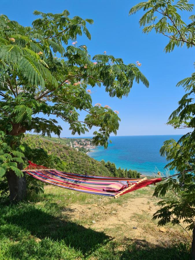 Greco Paradise Suites - Adult Only Nea Skioni Eksteriør billede