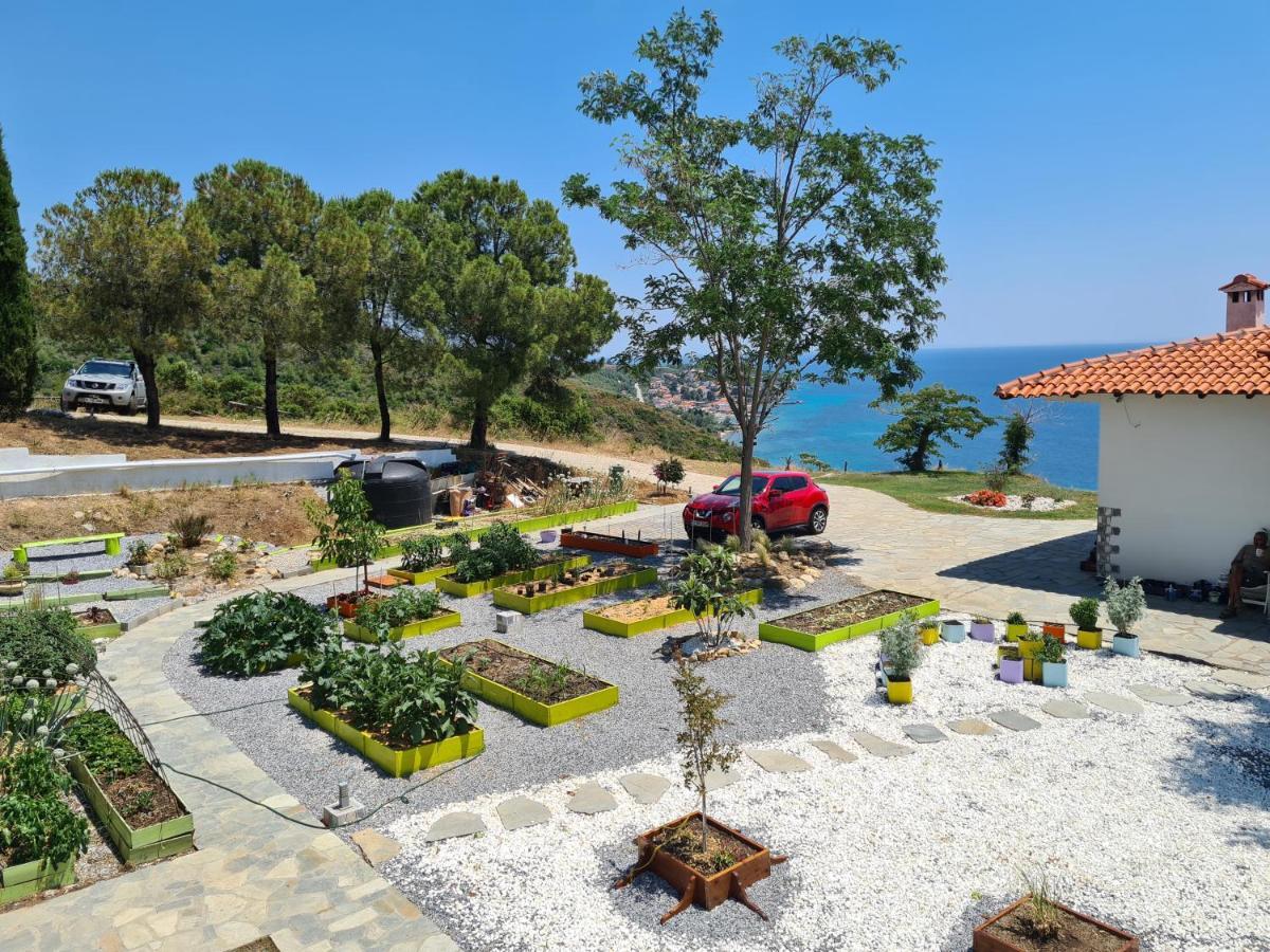 Greco Paradise Suites - Adult Only Nea Skioni Eksteriør billede