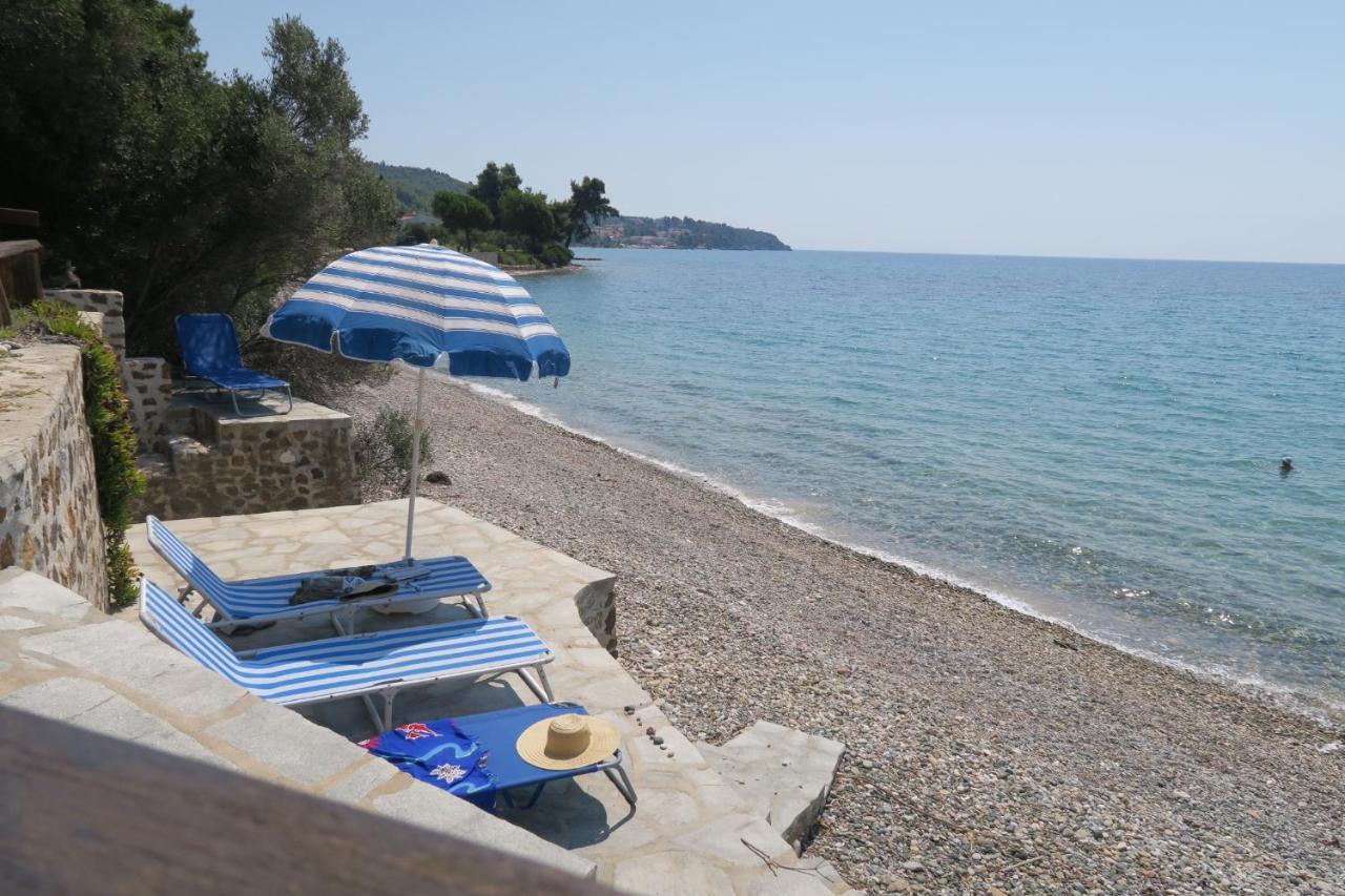 Greco Paradise Suites - Adult Only Nea Skioni Eksteriør billede