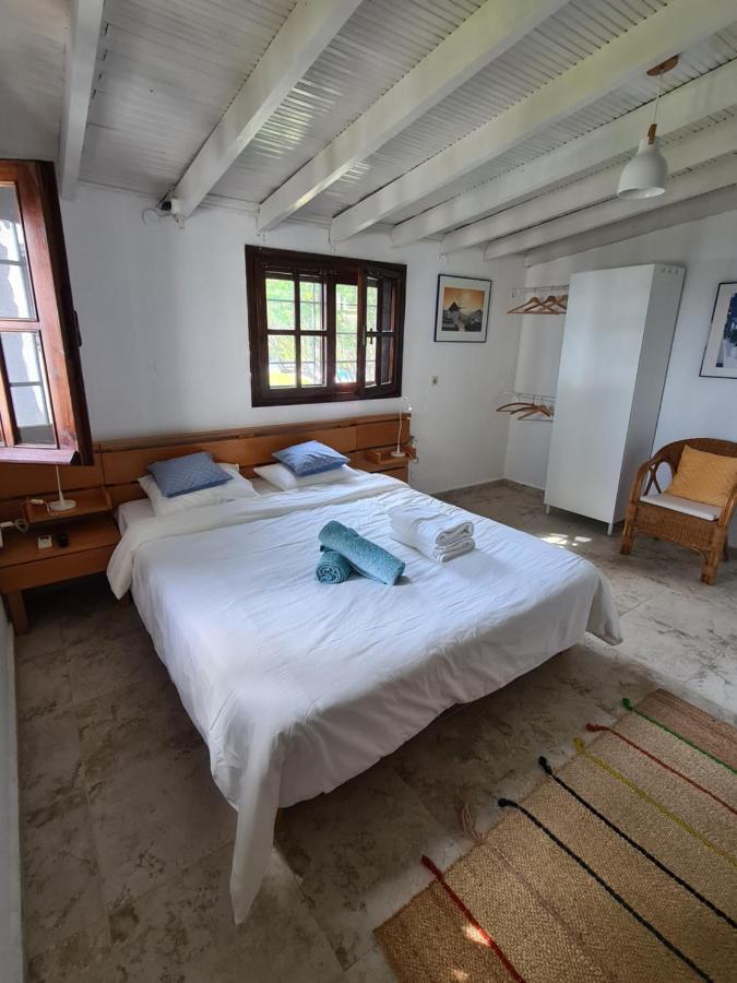 Greco Paradise Suites - Adult Only Nea Skioni Eksteriør billede