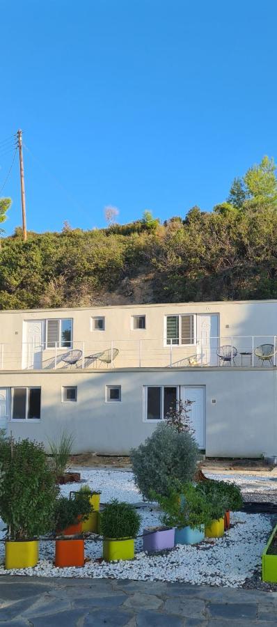 Greco Paradise Suites - Adult Only Nea Skioni Eksteriør billede