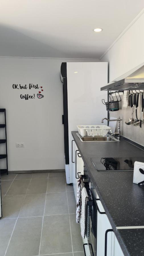 Greco Paradise Suites - Adult Only Nea Skioni Eksteriør billede